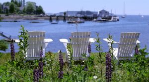 Adirondack Chairs - Three Tips to Getting Your Business Ready for Summer Tourism - Maine SBDC
