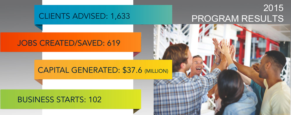 2015 Results Summary