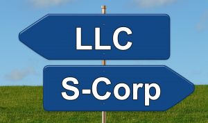 LLC or S-Corp?