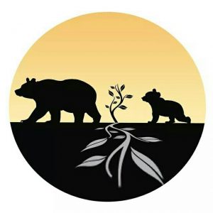 Black Bear Support Solutions - Maine SBDC