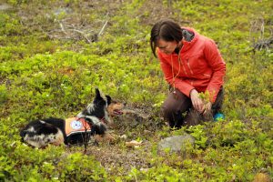 Lindsay Ware and Dog working