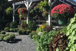 Trailside Gardens – Abbot