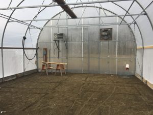 maine sbdc