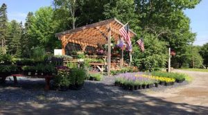 Trailside Gardens - Maine SBDC