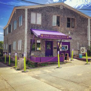 Storefront - Wild Cow Creamery - Belfast & Bangor - Maine SBDC