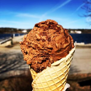 Ice Cream - Wild Cow Creamery - Belfast & Bangor - Maine SBDC