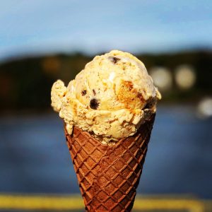 Ice Cream - Wild Cow Creamery - Belfast & Bangor - Maine SBDC