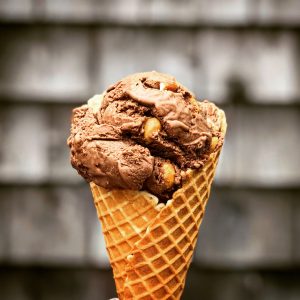 Ice Cream - Wild Cow Creamery - Belfast & Bangor - Maine SBDC