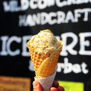 Ice Cream - Wild Cow Creamery - Belfast & Bangor - Maine SBDC