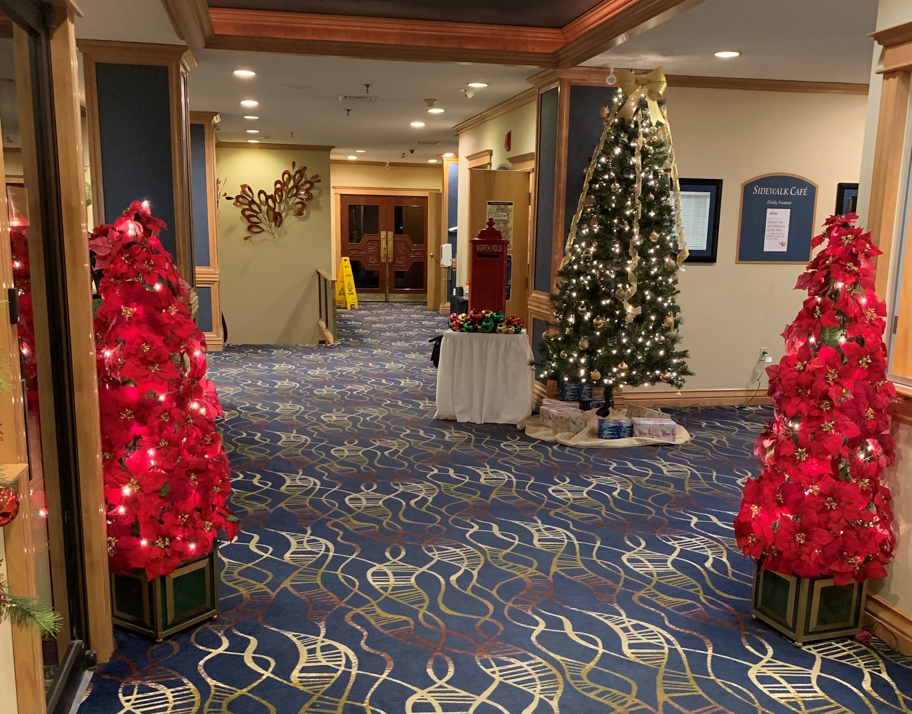 Indoor Christmas Decorations - Ignite PI - Presque Isle - Maine SBDC