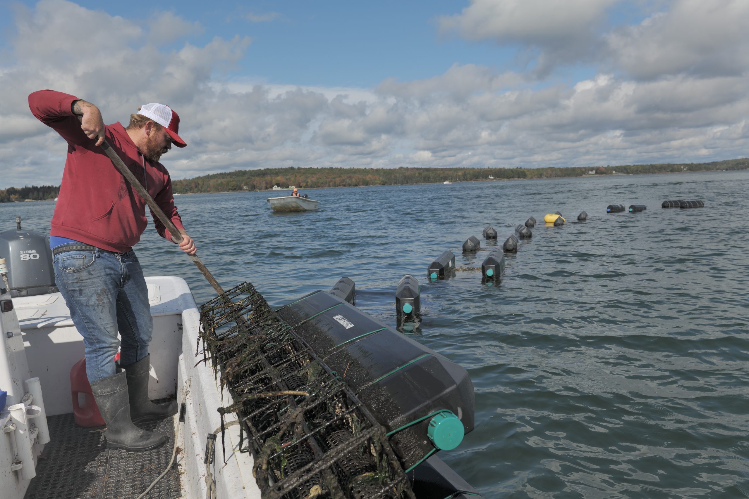 Graham Platner - Frenchman Bay Oyster Company - Sullivan - Maine SBDC