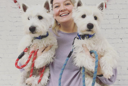 Something to Wag About – Ellsworth