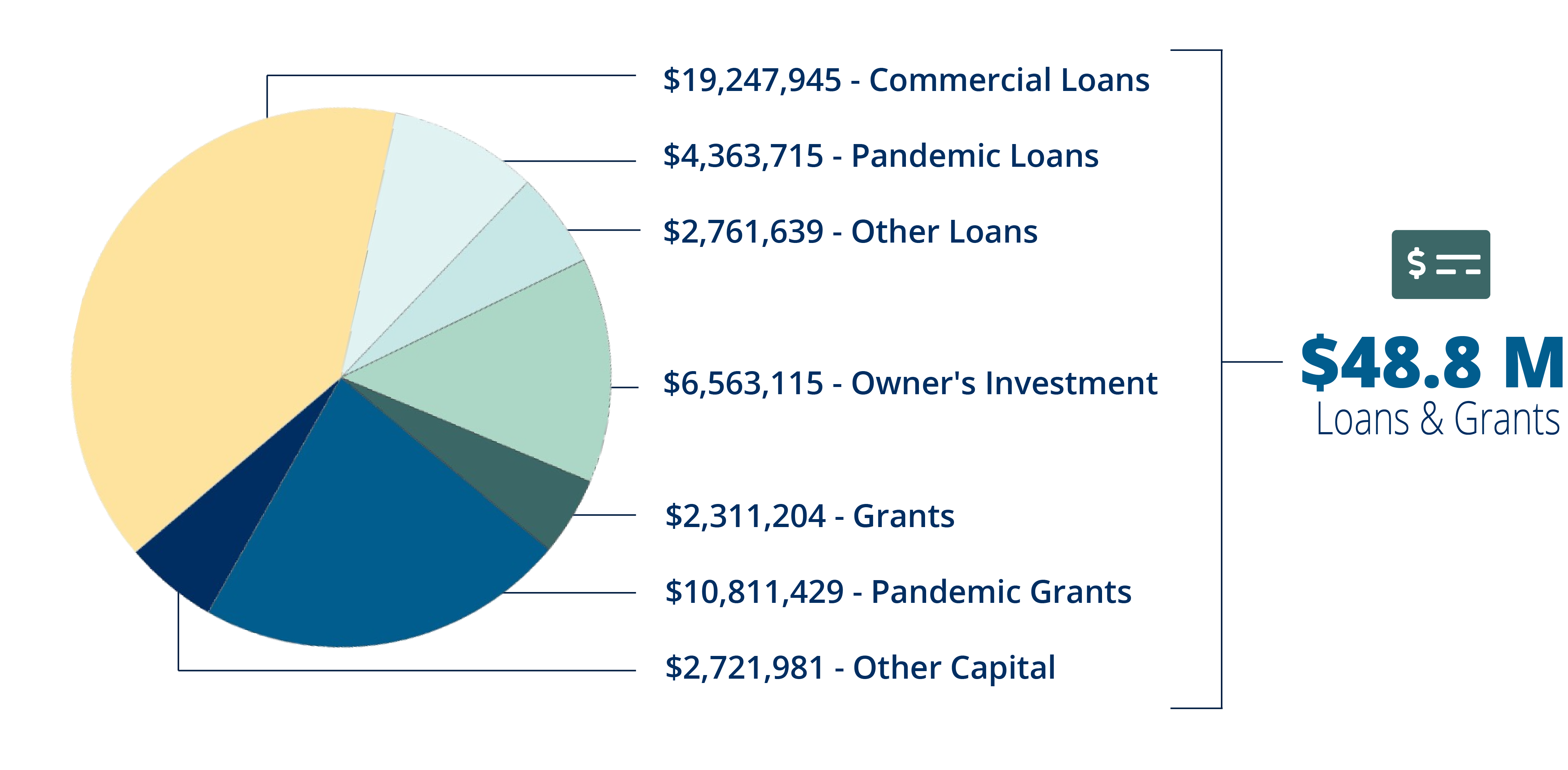 Pie Chart for Loans and Grants 2021