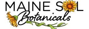 Maine Sol Botanicals logo, black font with a few yellow flowers, underlining and framing the words. The O in sol is a yellow flower too.