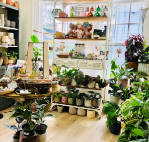 Retail display of house plants and other related items at Yarrow in Kittery Maine